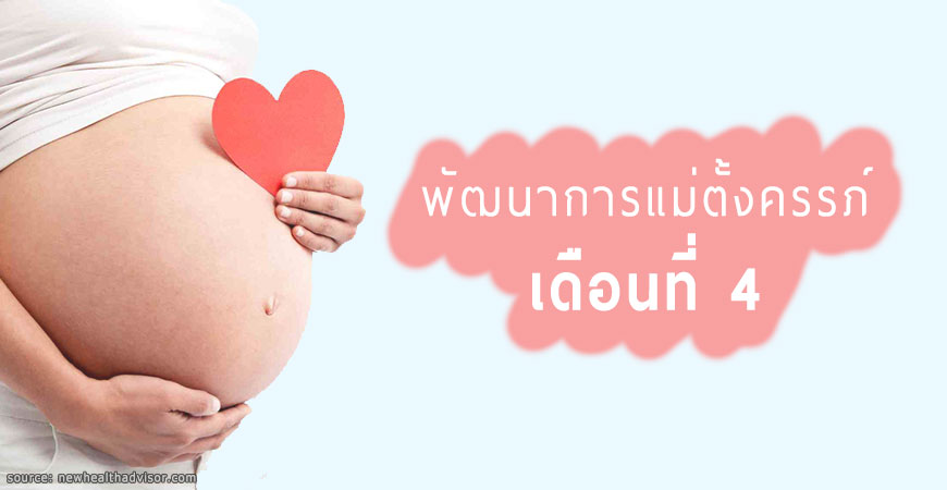 พัฒนาการของลูกน้อยและคุณแม่ตั้งครรภ์ เดือนที่ 4 พัฒนาการของลูกน้อยและคุณแม่ตั้งครรภ์ เดือนที่ 4
