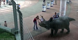 มีออกมาเดินเล่นให้เด็กๆได้จับด้วย