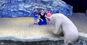 พี่หมีขาวขั้วโลก