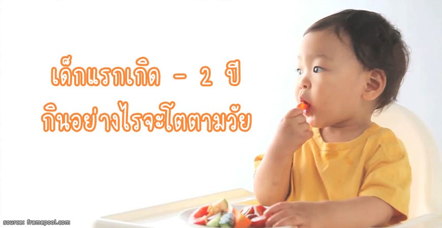 เด็กแรกเกิด-2 ปี กินอย่างไรจะโตตามวัย เด็กแรกเกิด - 2 ปี กินอย่างไรจะโตตามวัย