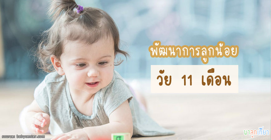 พัฒนาการลูกน้อยวัย 11 เดือน