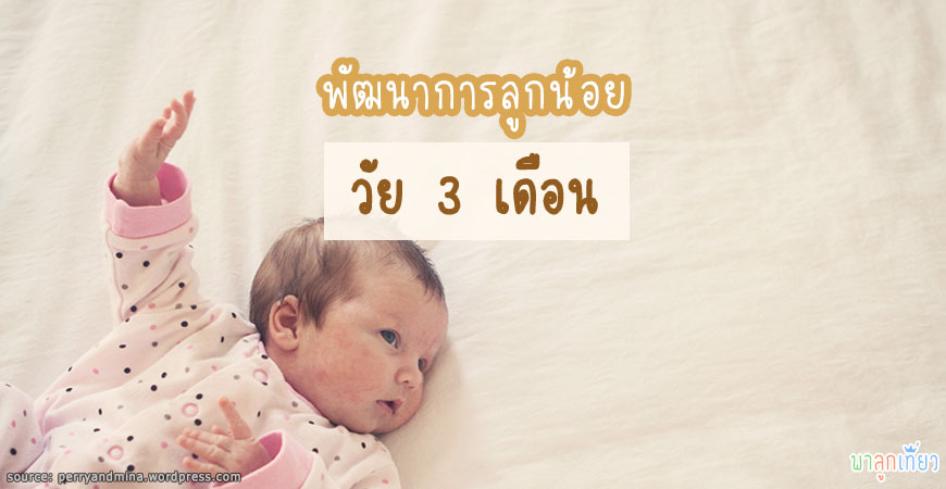 พัฒนาการของลูกน้อยวัย 3 เดือน พัฒนาการของลูกน้อยวัย 3 เดือน