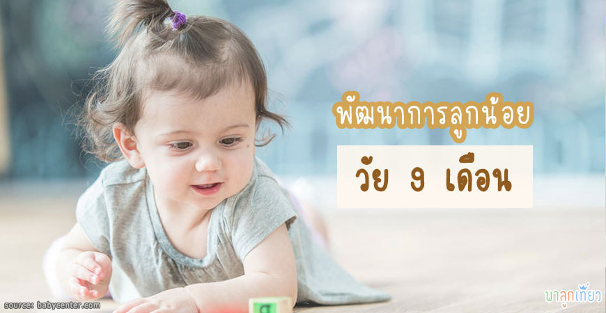 พัฒนาการลูกน้อยวัย 9 เดือน พัฒนาการลูกน้อยวัย 9 เดือน