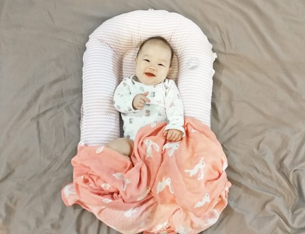 เบาะรองนอนเด็กทารก Babinest