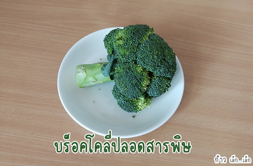 บร็อคโคลี่ฟักทองบด