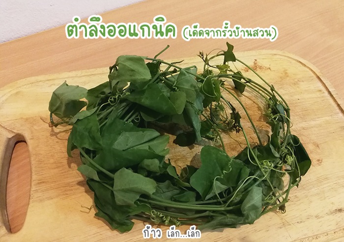 ข้าวตุ๋นตำลึงบดละเอียด