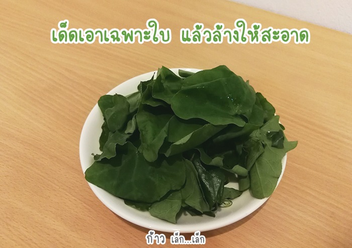 ข้าวตุ๋นตำลึงบดละเอียด