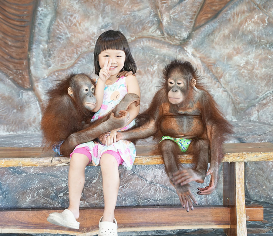 Sriayuthaya Lion Park ศรีอยุธยา ไลอ้อน ปาร์ค