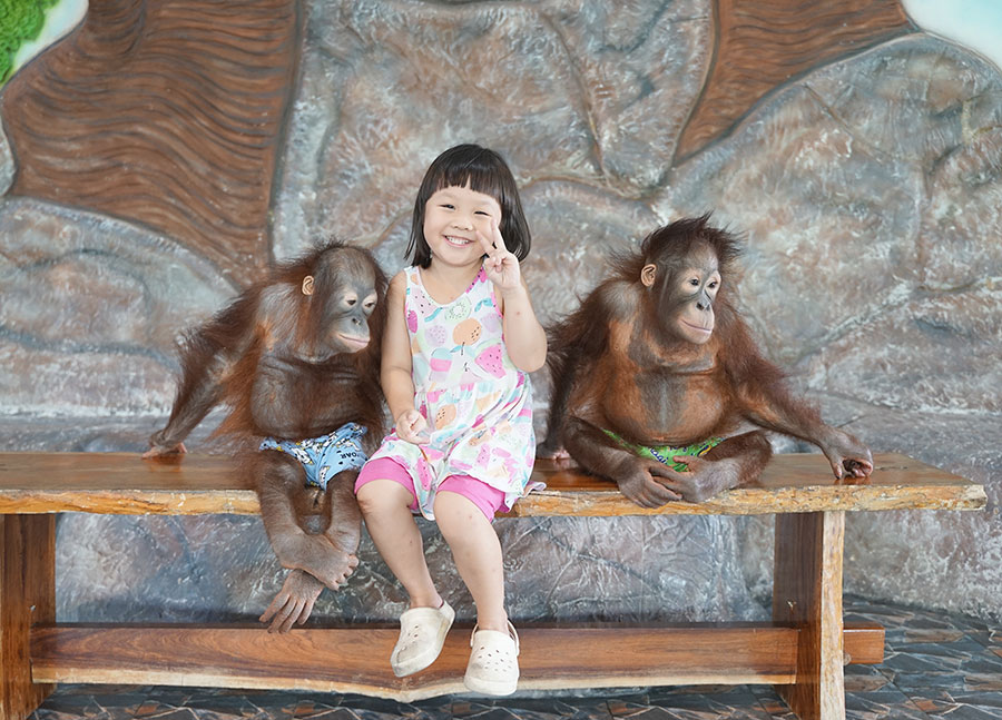 Sriayuthaya Lion Park ศรีอยุธยา ไลอ้อน ปาร์ค