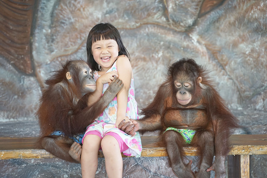 Sriayuthaya Lion Park ศรีอยุธยา ไลอ้อน ปาร์ค