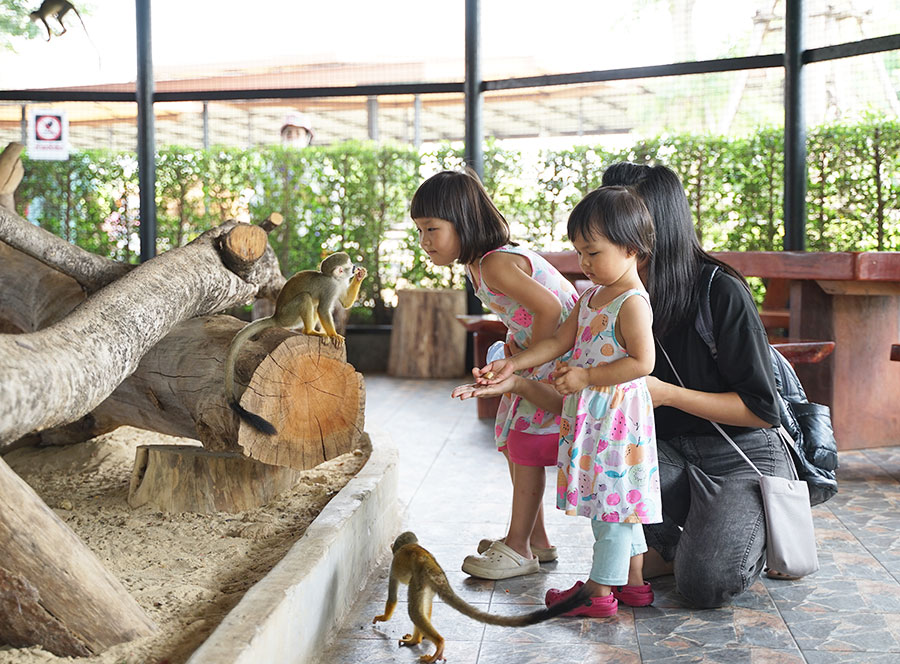 Sriayuthaya Lion Park ศรีอยุธยา ไลอ้อน ปาร์ค