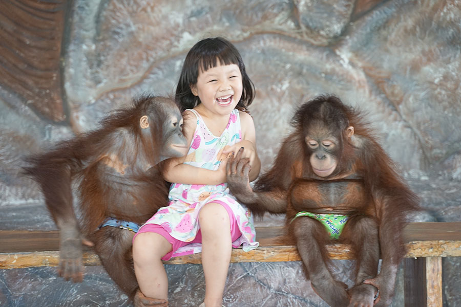 Sriayuthaya Lion Park ศรีอยุธยา ไลอ้อน ปาร์ค