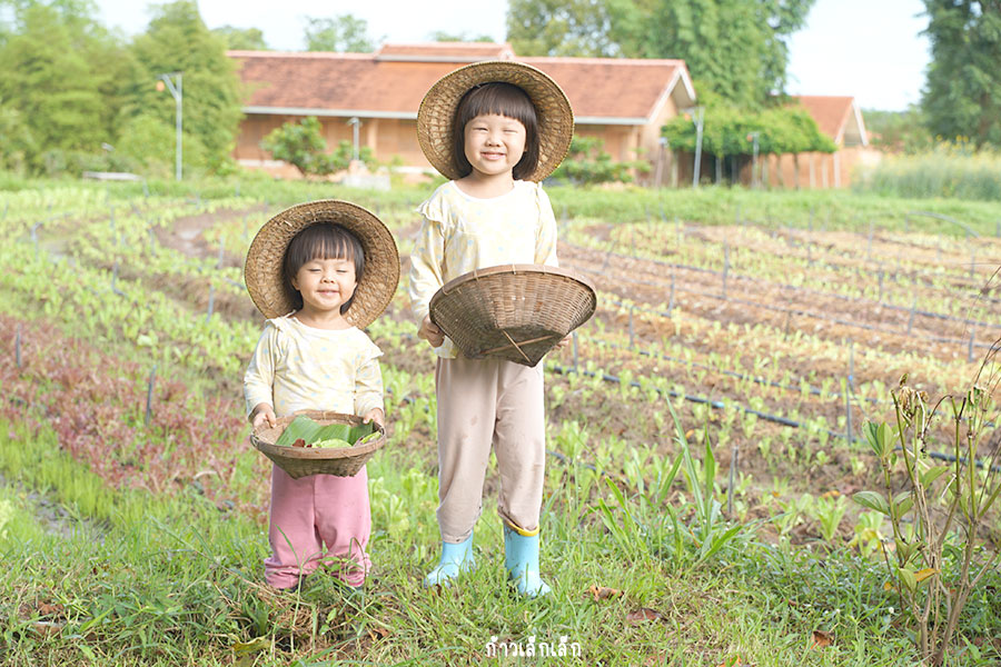 Coolliving Farmhouse วังน้ำเขียว – เก็บผัก ทำฟาร์ม เล่นสไลด์โคลน