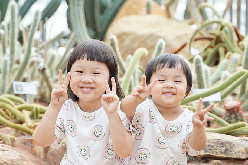 สวนพฤกษศาสตร์สมเด็จพระนางเจ้าสิริกิติ์ เชียงใหม่